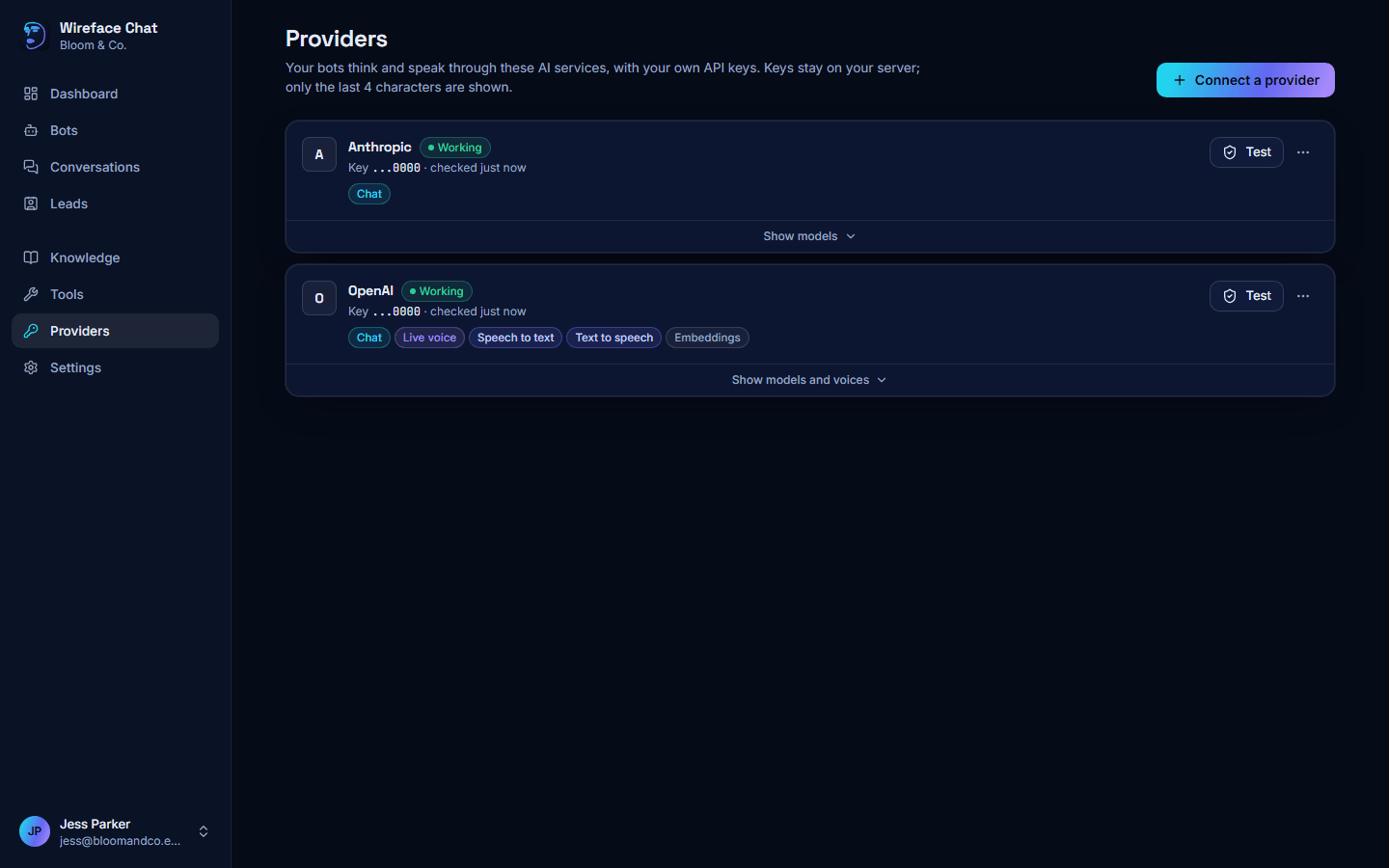 The Providers page, with an Anthropic and an OpenAI connection, each marked Working